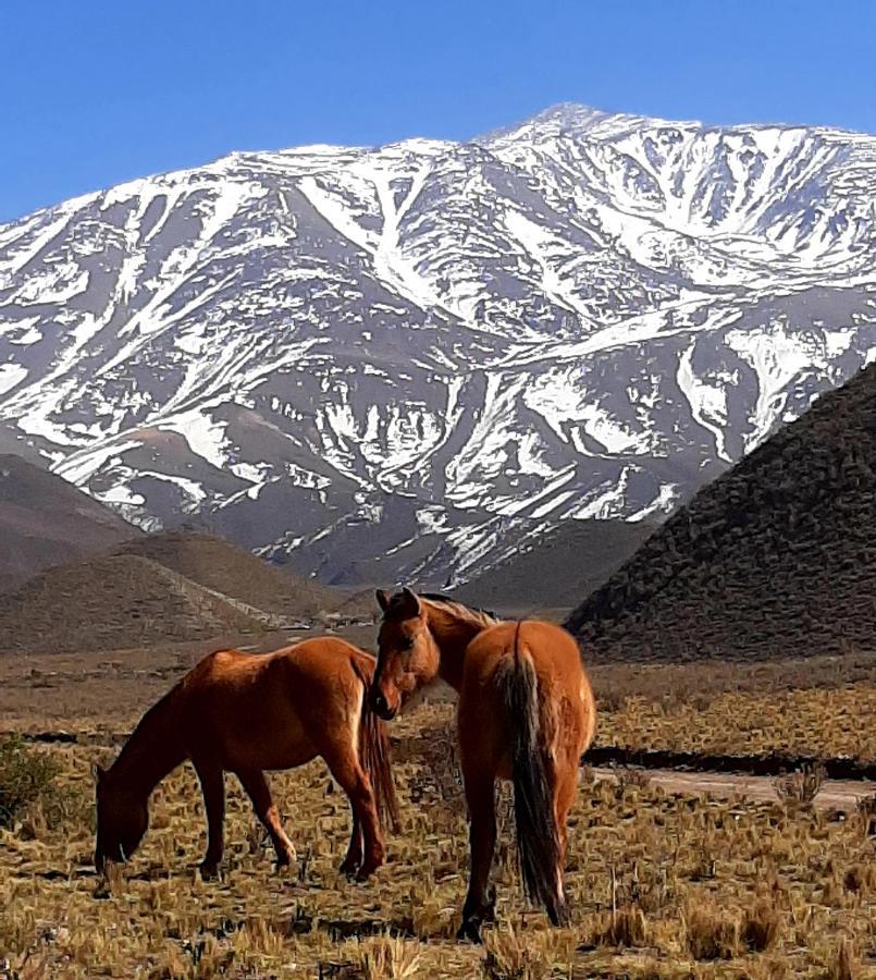 Arribadelvalle - Casas De Altura بوتريريلوس المظهر الخارجي الصورة